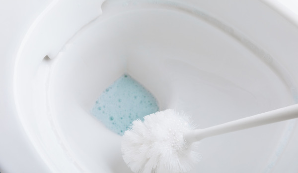 Πώς να φροντίζετε τη βούρτσα του WC;