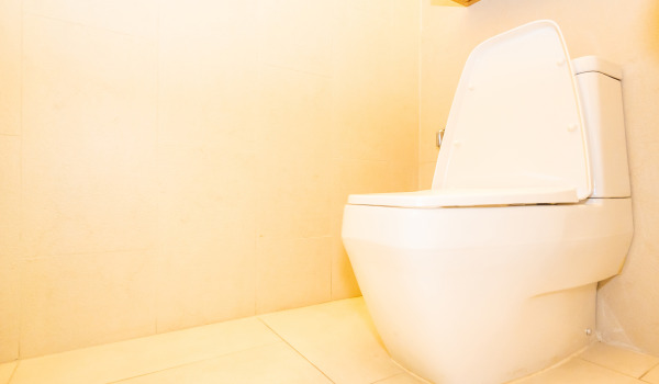 Ποιο σετ εντοιχισμού για WC να επιλέξω;