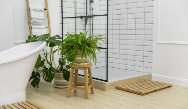 5 καλύτερα λουλούδια για να μεγαλώσετε στο μπάνιο