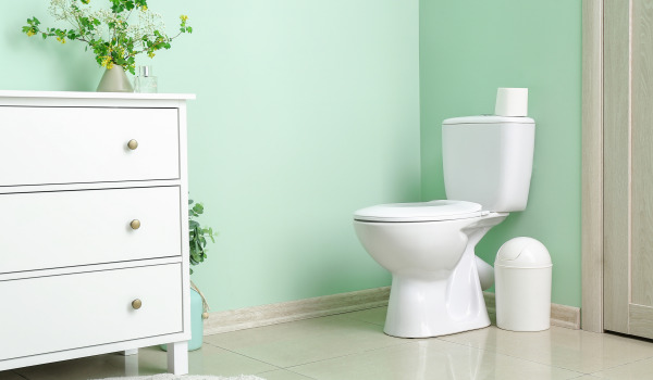 Λεκάνη τουαλέτας με προστατευτική επικάλυψη ή όχι;