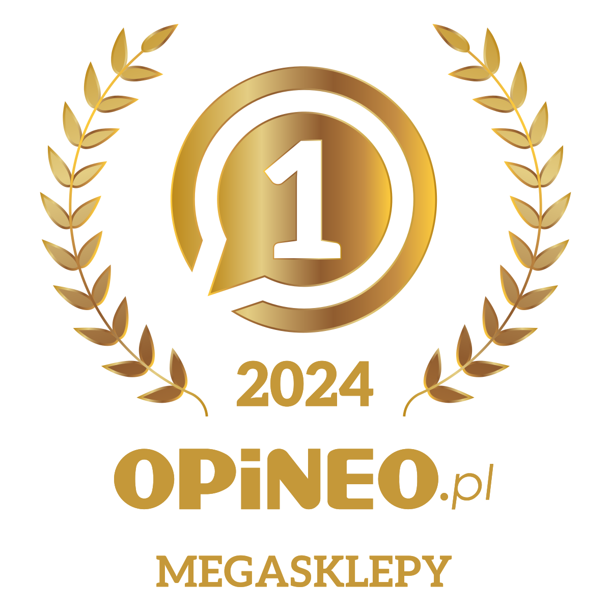 Megasklepy 2024 1 miejsce